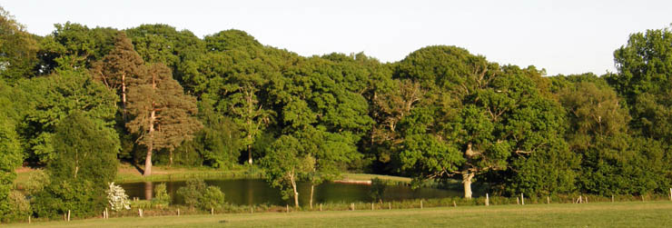 Great Springs